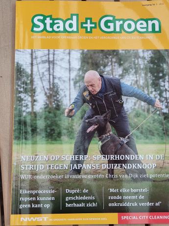 Afbeelding invoegen